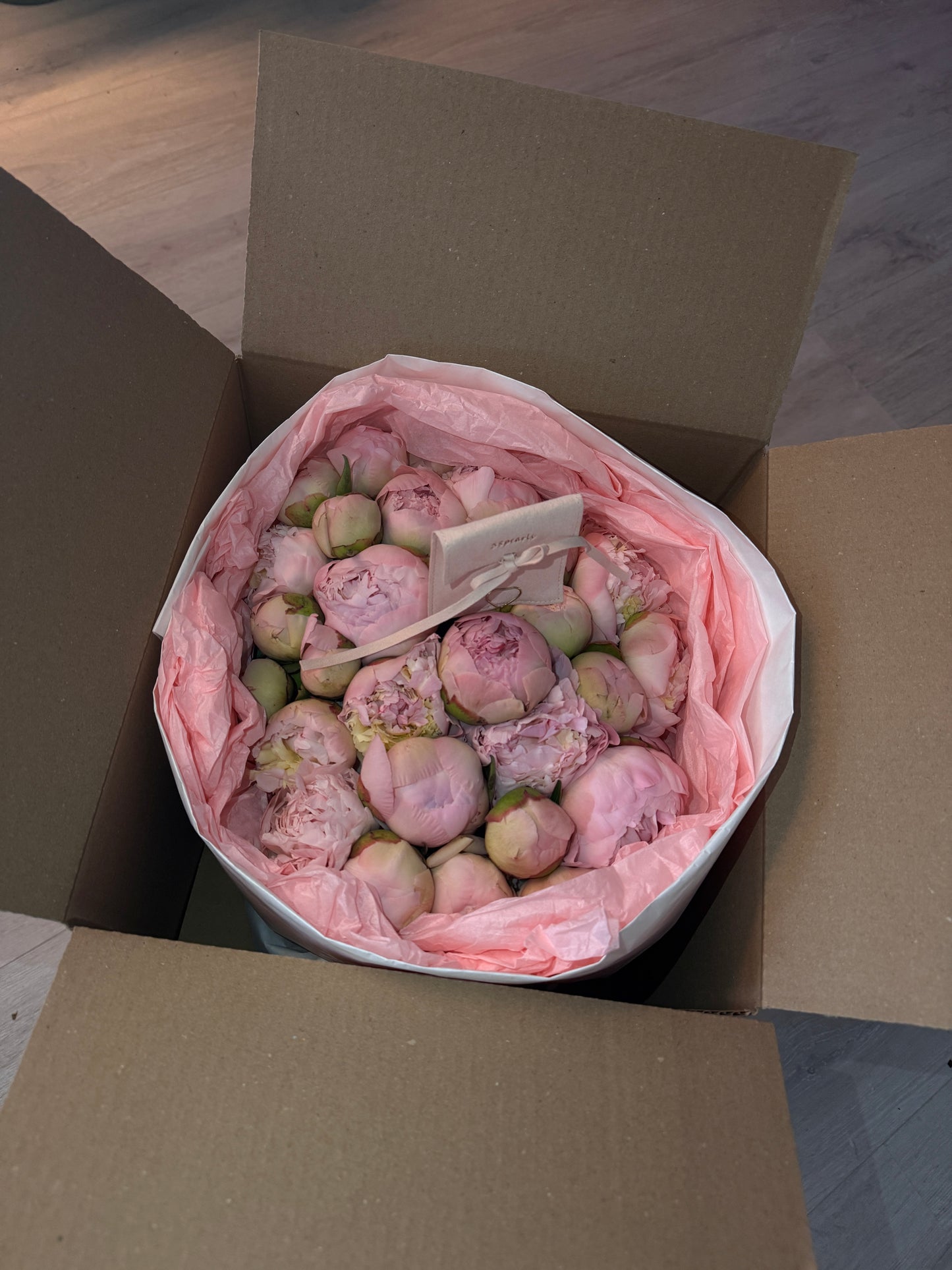 Peonie Mini