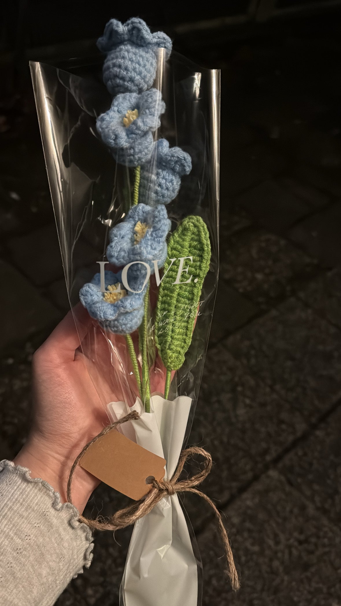 Glockenblumen (9523813646665)