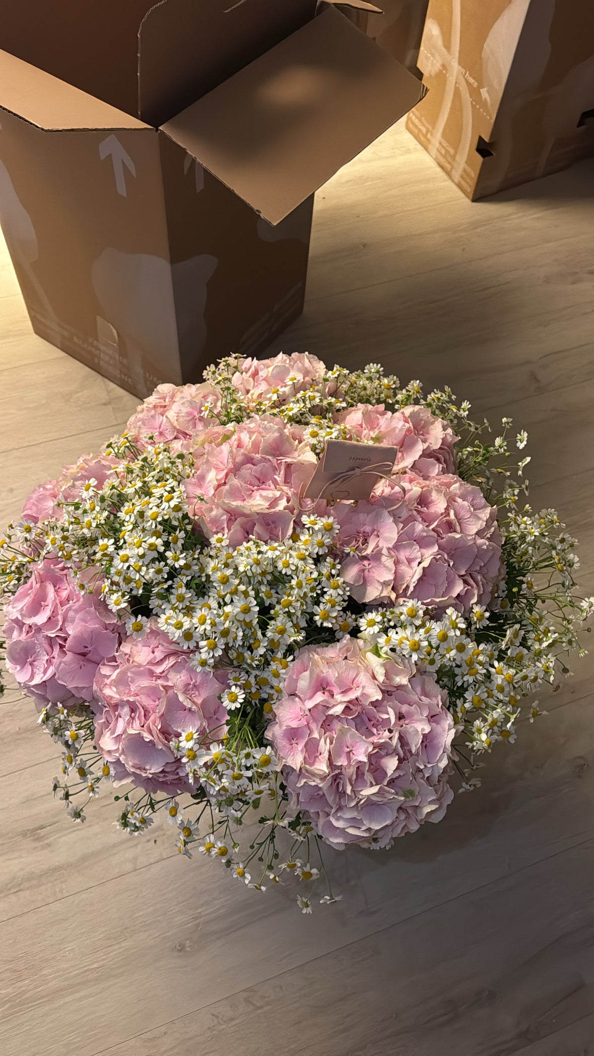 Rosa Wiese