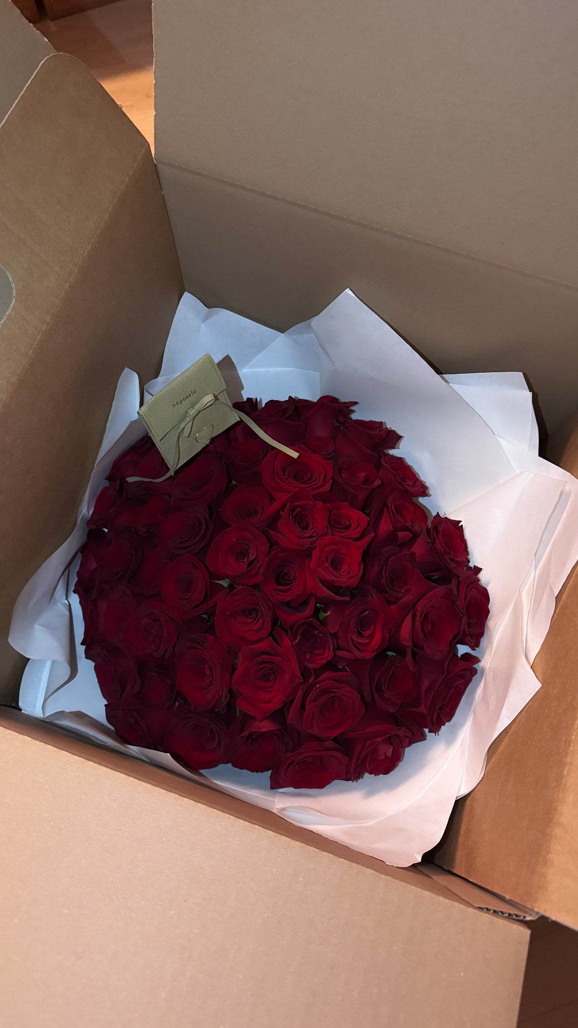 Red Roses