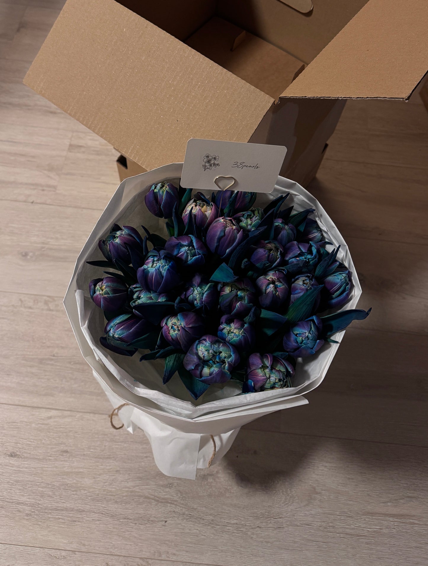 Bibble Tulpen