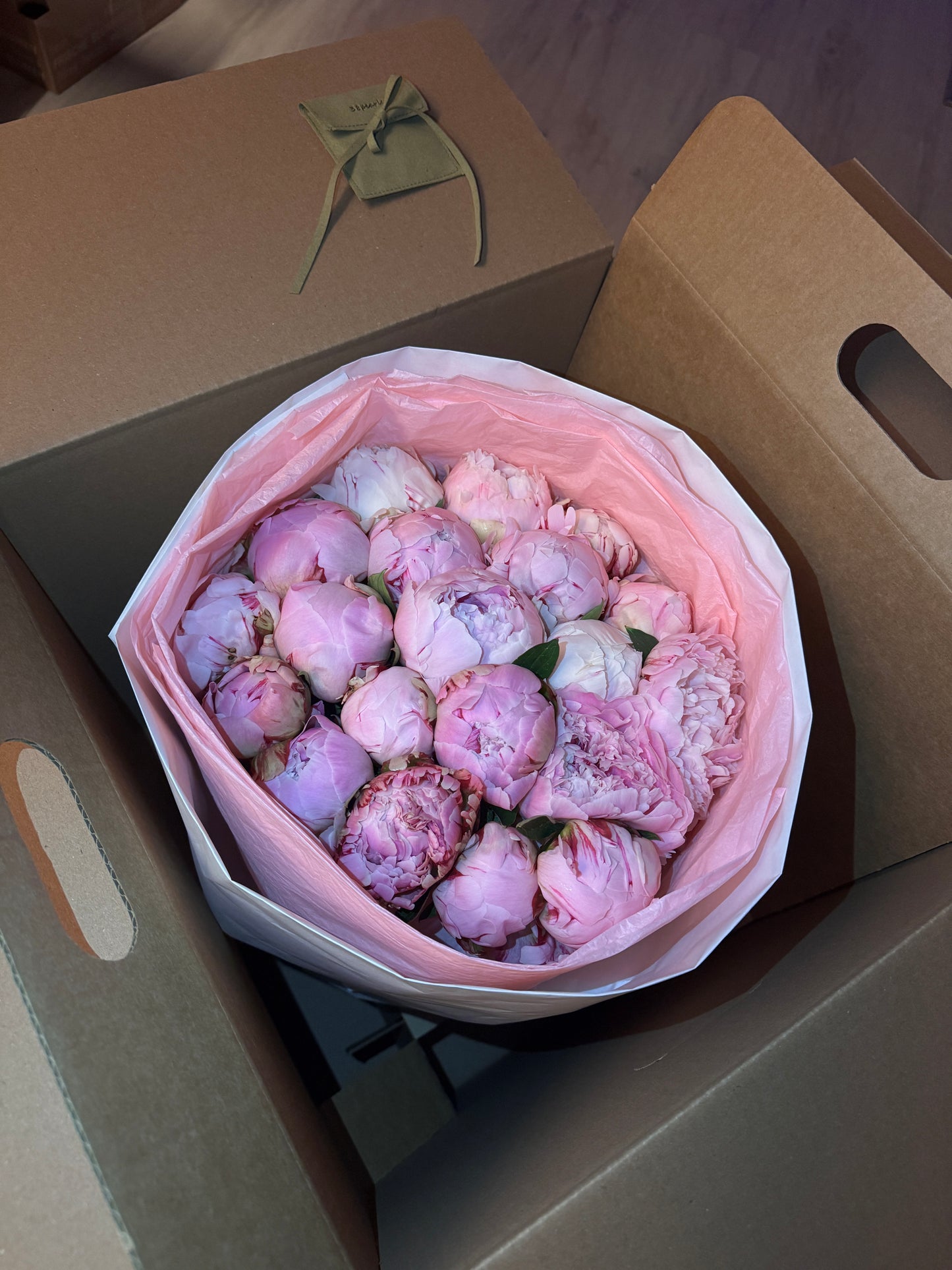 Peonie Mini